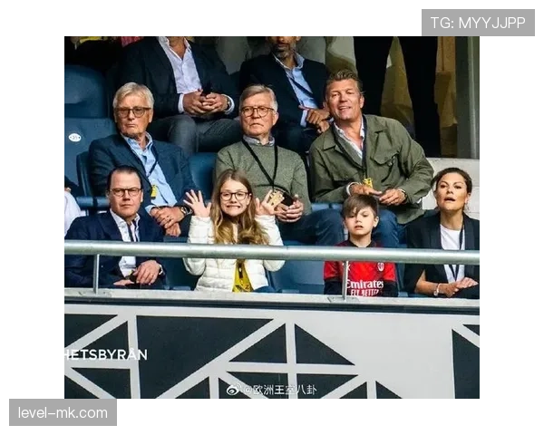 瑞典伊布退役影响